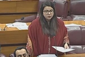 Digital Nation Pakistan Bill 2024: Transforming Governance and Economy